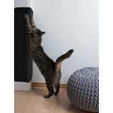 primaflor Katzen-Kratzmatte - Schwarz, 100 x 200 cm, Rutschhemmende Sisalmatte für Krallenpflege, Robuster Kratzpad für Wand, Boden oder Kratzmöbel