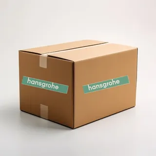 Hansgrohe Rainfinity Kopfbrause 250 1jet  chrom (26226)