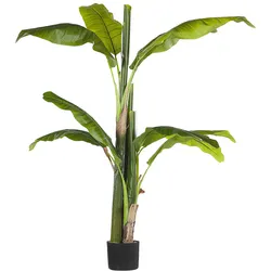 Kunstpflanze BANANA TREE 154 cm