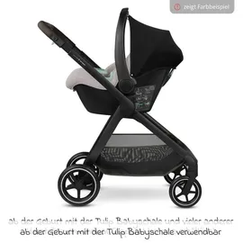 ABC-Design City Life Grün