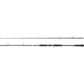 Abu Garcia Beast X Casting Rod, Süßwasserangler Angeln Hecht & Zander, Starkes Leichtgewicht & Vielseitig, Grün, 2.49m Moderat Schnelle Beidhändige Rute