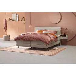 Boxspringbett Home 105 - schnell lieferbar