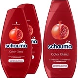 Schauma Schwarzkopf Farbschutz-Shampoo Color Glanz (1x 400 ml), Haarshampoo pflegt coloriertes, getöntes oder gesträhntes Haar & Spülung (2x 250 ml) mit Granatapfel-Extrakt