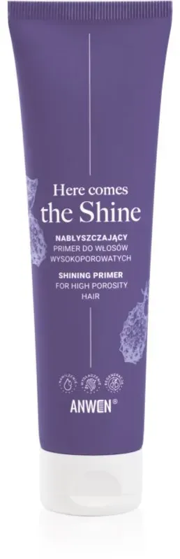 Anwen Here Comes The Shine Shining Primer For High Porosity Hair Primer Make-up Grundierung für das Haar 100 ml