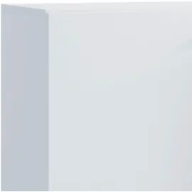 VCM Lona Aktenschrank 70 x 40 x 74 cm weiß