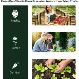 Outsunny Frühbeet PVC Transparent 5 m2