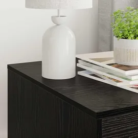 vidaXL Katzenstreu Box Umzäunung 47 x 59 x 42 cm Schwarz
