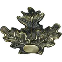 Eichenlaub Bronze