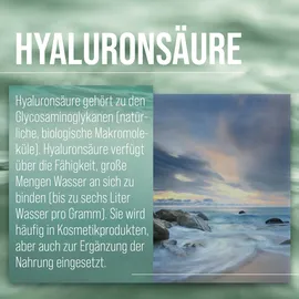 Kräuterhaus Sanct Bernhard Hyaluronsäure-Creme 100 ml
