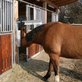 Kerbl Viehbürste TEXAS Bürste Tiere Kratzbürste Rinder Kühe Pferde Fellpflege