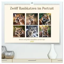 Calvendo Zwölf Raubkatzen im Portrait (hochwertiger Premium Wandkalender 2026 DIN A2 quer), Kunstdruck in Hochglanz