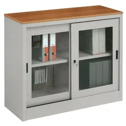 Metallvitrine fur Dokumente h471_43