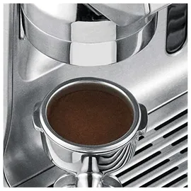 Sage the Oracle trüffelschwarz