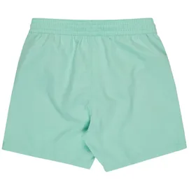 BILLABONG All Day Layback Badeshorts Grün 16