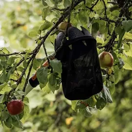 Fiskars Obstpflücker QuikFit 1000693