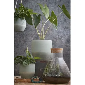 Mica decorations Mica Vorratstopf Emily transparent, 24,5 x 22,5 m
