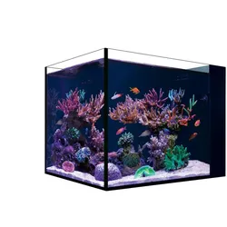 Red Sea Desktop Aquarium Set Peninsula