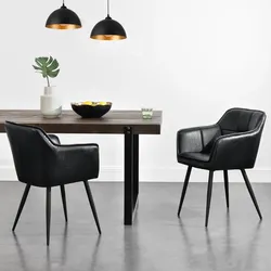 Esszimmerstuhl 2er Set Birmingham Schwarz