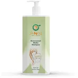 Sanoll Brennnessel Molke 1000 ml