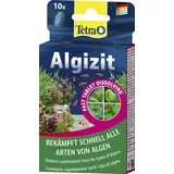 Tetra Aquarium-Wasseraufbereiter Algizit 10 Tabletten