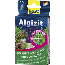 Tetra Aquarium-Wasseraufbereiter Algizit 10 Tabletten