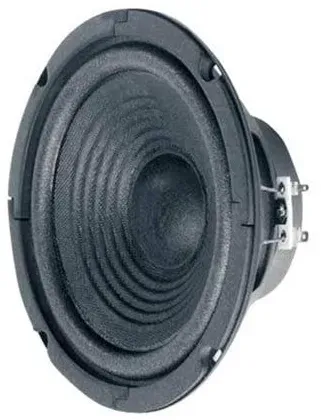 W 170 - speaker driver