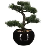 Atmosphera Créateur d'intérieur Künstlicher Bonsai-baum, in schwarz | Gr.: onesize