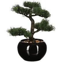 Atmosphera Créateur d'intérieur Künstlicher Bonsai-baum, in schwarz | Gr.: onesize