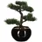 Atmosphera Créateur d'intérieur Künstlicher Bonsai-baum, in schwarz | Gr.: onesize