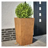 vidaXL Pflanzkübel 45 x 45 x 75 cm Braun