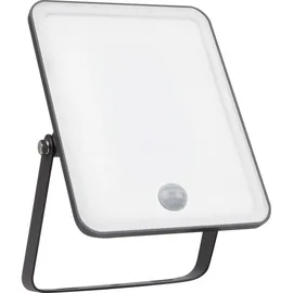 osram homelighting Außenstrahler LED schwarz 30 W 3,3 cm spritzwassergeschützt