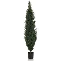 bümö Kunstpflanzen, Kunstpflanze Zeder Cedrus (152 cm)