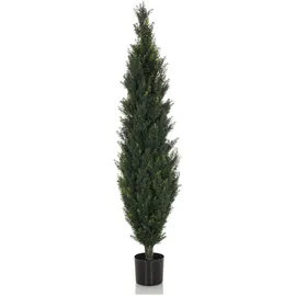 bümö Kunstpflanzen, Kunstpflanze Zeder Cedrus (152 cm)