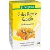 Bergland Pharma Gelee Royale Kapseln 40 St.