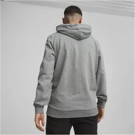 Puma teamGOAL Casuals Hoodie Herren 33 medium gray heather/white S