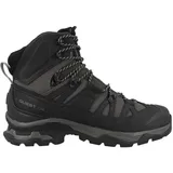 Salomon Quest 4 GTX Herren Magnet/Black/Quarry 42 2/3