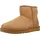 UGG Australia Classic Mini II Chestnut 36