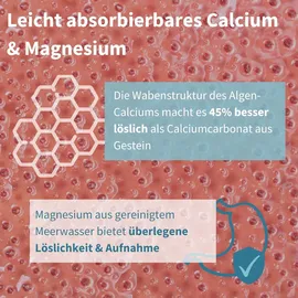 Igennus Calcium & Magnesium Kapseln 90 St.
