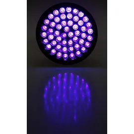 ChiliTec UV Licht Taschenlampe, 51 LEDs Schwarzlicht