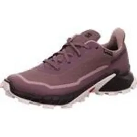 Salomon Alphacross 5 Damen Moonscape / Black / White 40,5