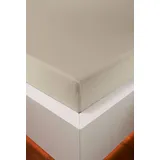 Hefel Bettlaken Jersey-Lyocell 140 x 200 - 160 x 220 cm grau