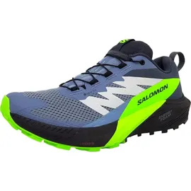 Salomon Sense Ride Herren Flint Stone/Black/Green Gecko 42