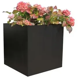 Palatino Nora 60 x 60 x 60 cm Anthrazit