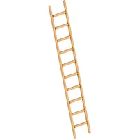 Layher Holzanlegeleiter 1052 10 Sprossen