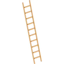 Layher Holzanlegeleiter 1052 10 Sprossen