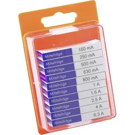 Eska 121.0.8 12108 Feinsicherung-Sortiment (Ø x L) 5mm x 20mm Mittelträge -mT- Inhalt 100St.