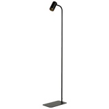 Licht-Erlebnisse Stehlampe Colene GU10