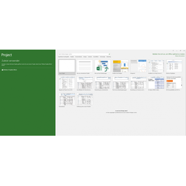 Microsoft Project Standard 2016 ESD ML Win