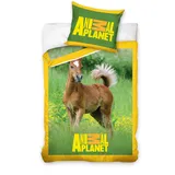 Exclusiv*Animal Planet Pferd Bettwäsche 135x200 Tiere Kinder Bettwäsche Pferde Bettbezug Öko Tex Standard 100