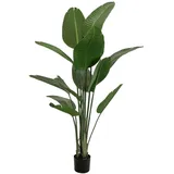 Europalms Strelitzie, Kunstpflanze, 170cm
